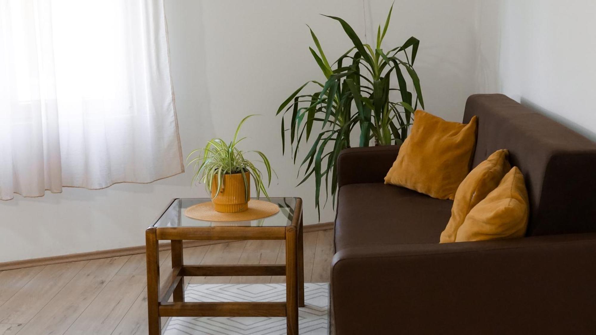 Apartmani Bubamara Leskovac Leskovac  Kültér fotó