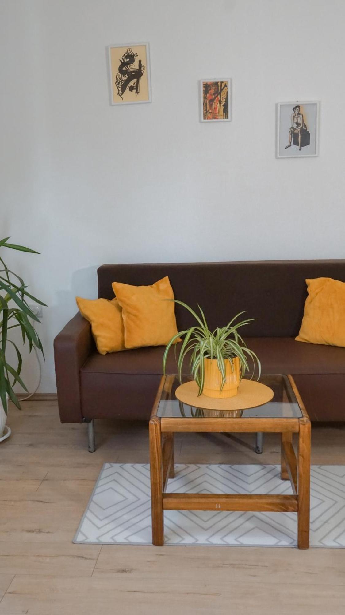 Apartmani Bubamara Leskovac Leskovac  Kültér fotó